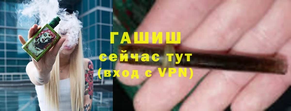 эйфоретик Бородино