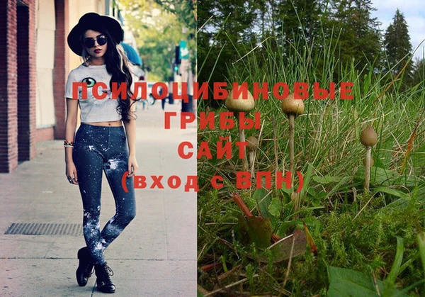 эйфоретик Бородино