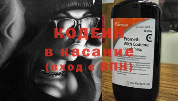 эйфоретик Бородино