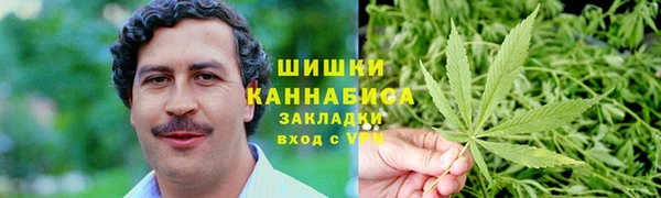 эйфоретик Бородино