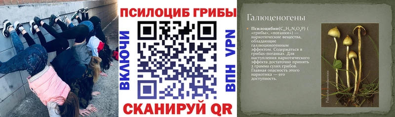 Псилоцибиновые грибы GOLDEN TEACHER  MEGA   Гусь-Хрустальный 
